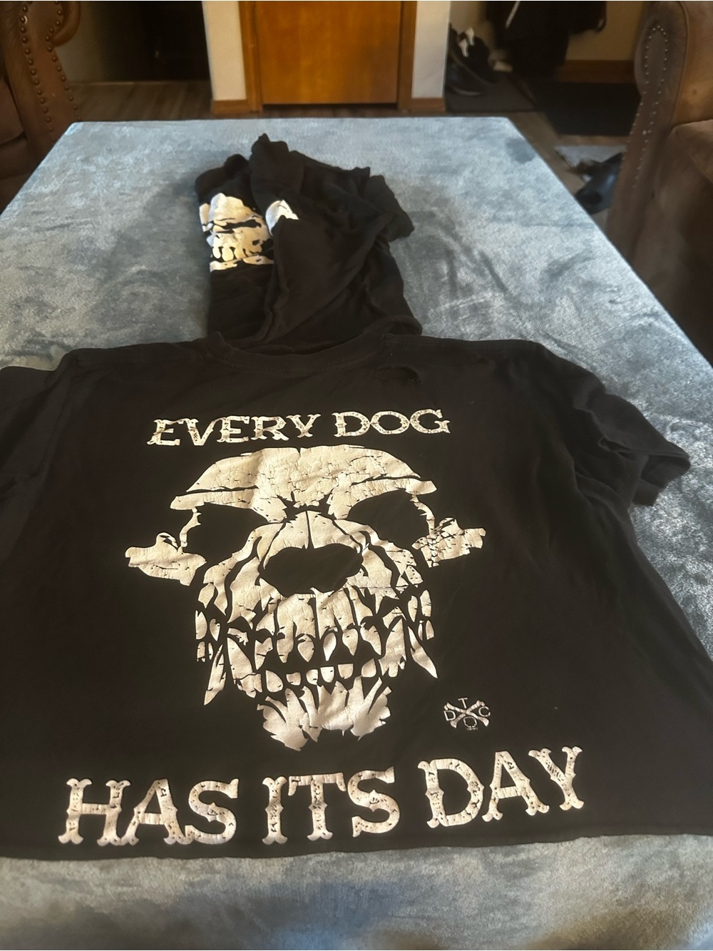 Every Dog Has Its Day Black Graphic Dog Hoodie
